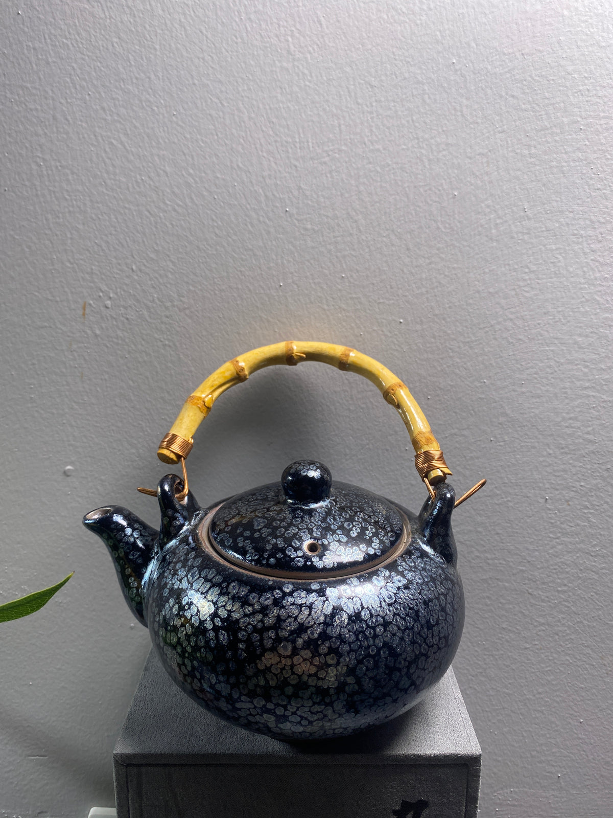 Kiln treasure-11.9