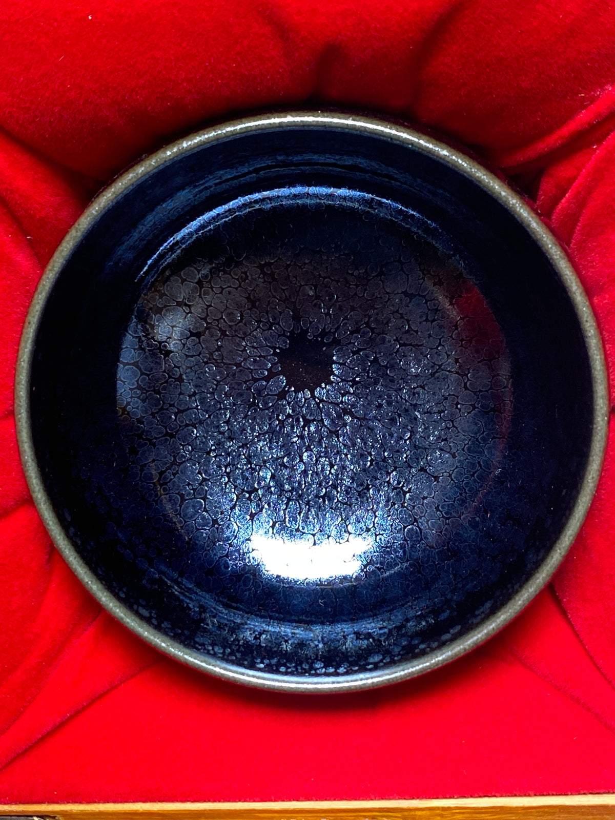 Master (Melva)4.12