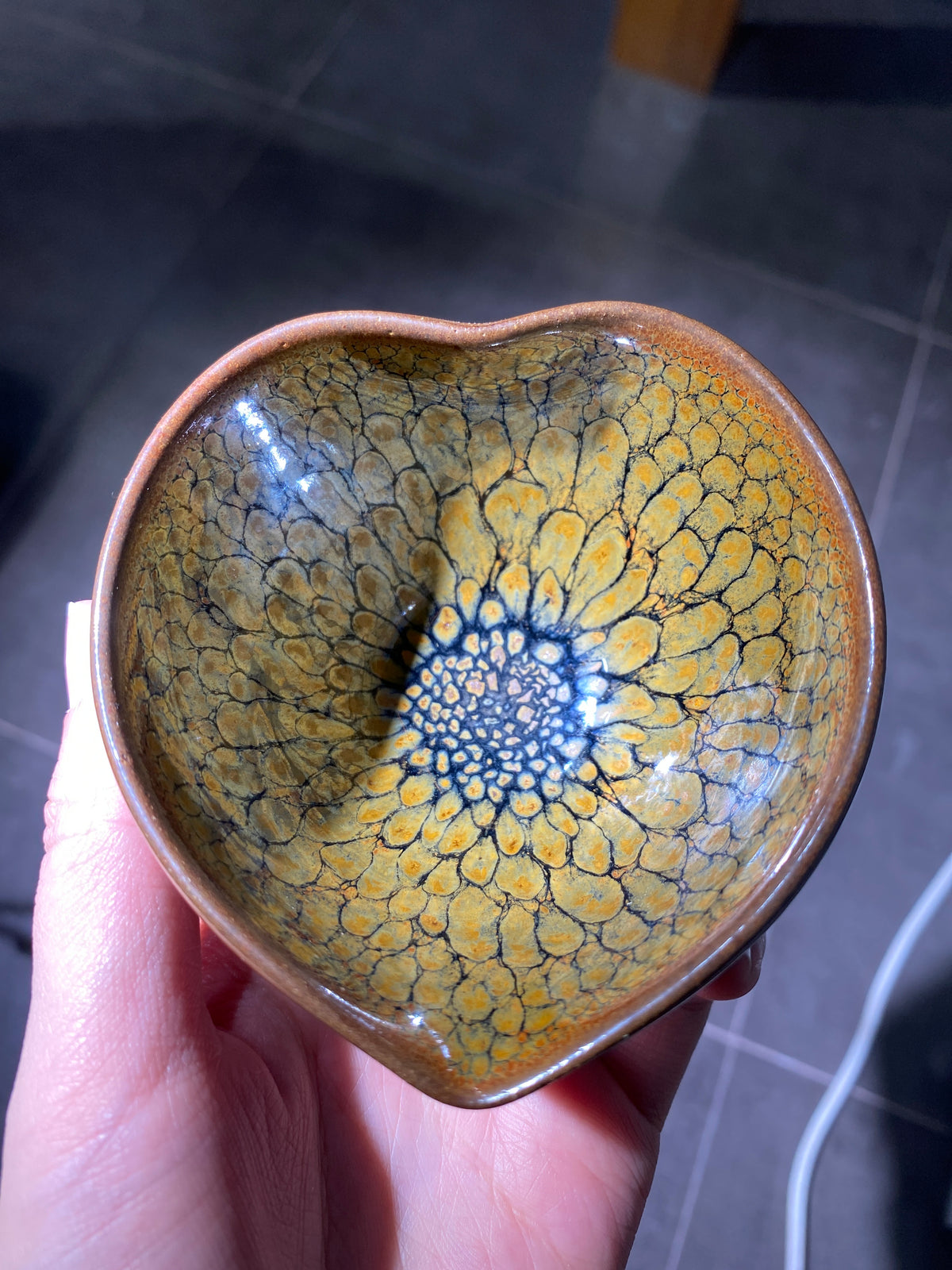 Kiln treasure.2.7